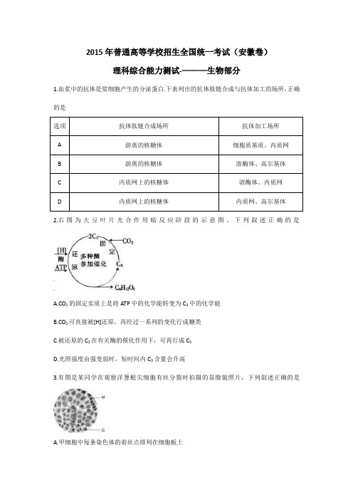 2015年安徽高考理综生物试题及答案