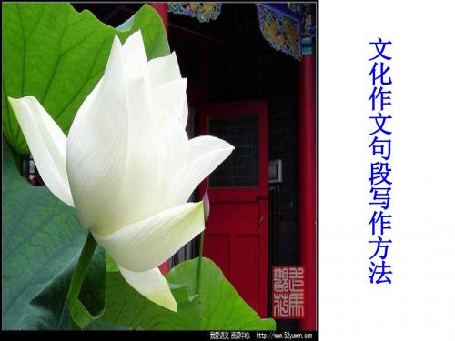 文化作文句段写作方法讲义PPT课件( 32页)