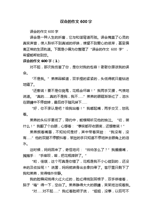 误会的作文600字