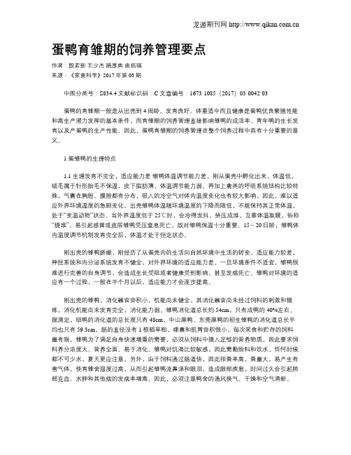 蛋鸭育雏期的饲养管理要点
