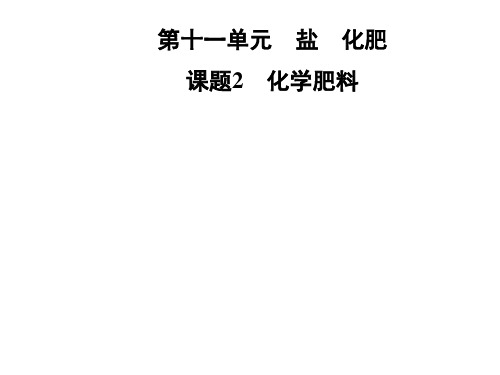 九年级化学人教版下册课件：第十一单元 课题2 化学肥料(共23张PPT)