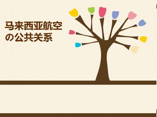 马航公关问题