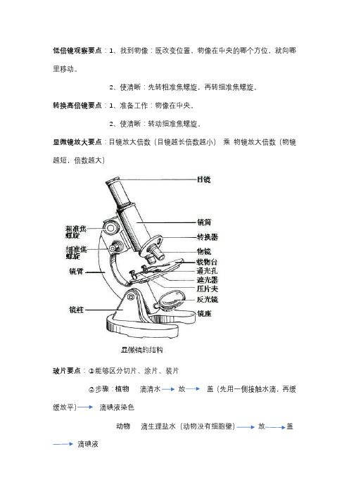 生物体的结构层次知识点、笔记