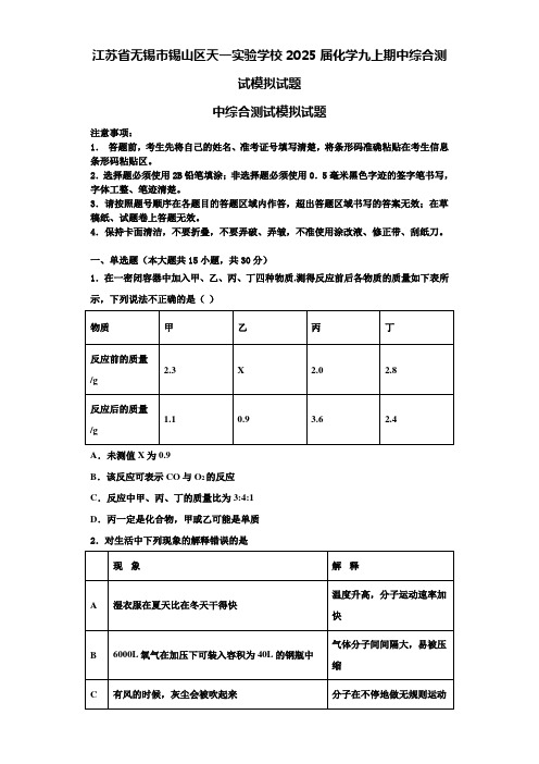 江苏省无锡市锡山区天一实验学校2025届化学九上期中综合测试模拟试题含解析