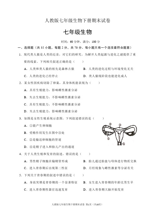 人教版七年级生物下册期末试卷(含答案)