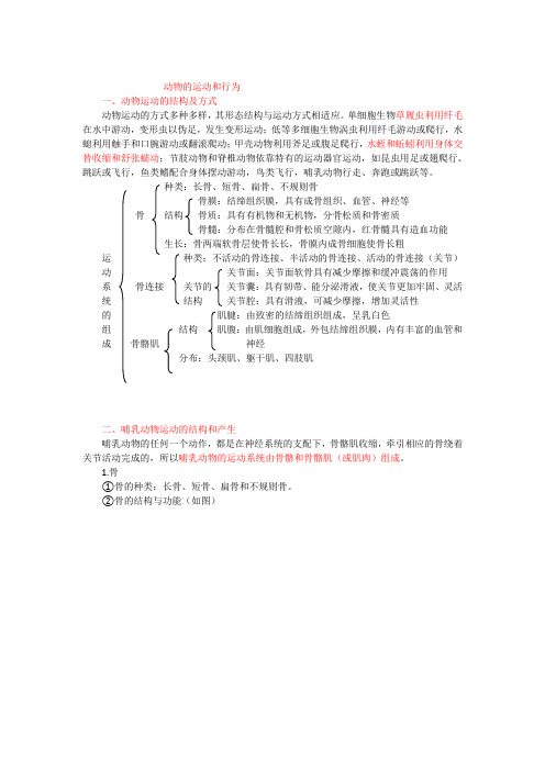 人教版九年级生物中考复习_动物的运动和行为知识总结.