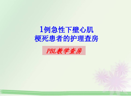 PBL护理查房PPT演示课件