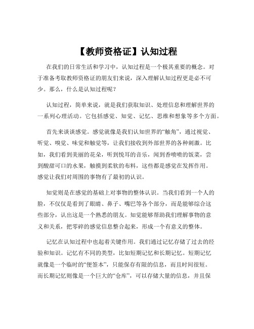 【教师资格证】认知过程