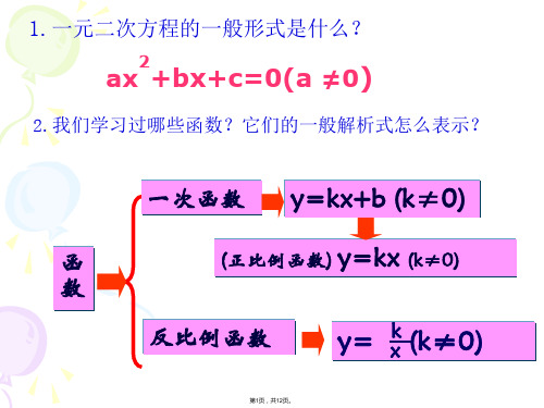 1新湘教版九年级下册1.1二次函数教学课件(共12张PPT)