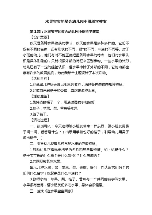 水果宝宝的聚会幼儿园小班科学教案