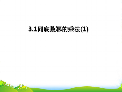 浙教版七年级数学下册第三章《3.1同底数幂的乘法(1)》优课件(11页)