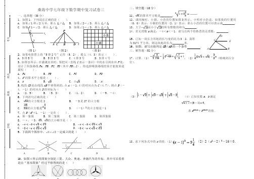 新教材人教版2013年七年级下数学期中复习试卷(三)