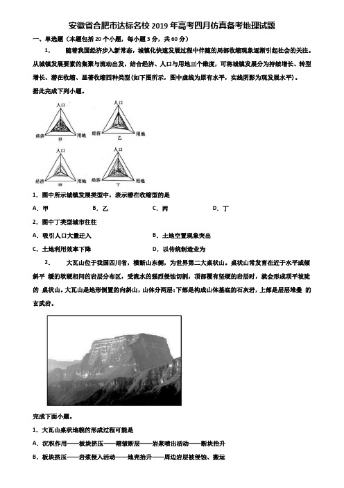 安徽省合肥市达标名校2019年高考四月仿真备考地理试题含解析