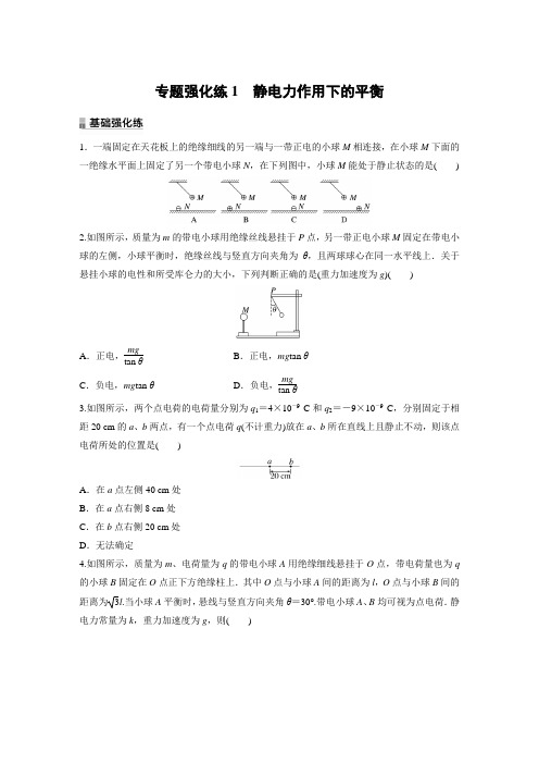 高中物理同步课时基础练习 专题强化练1 静电力作用下的平衡