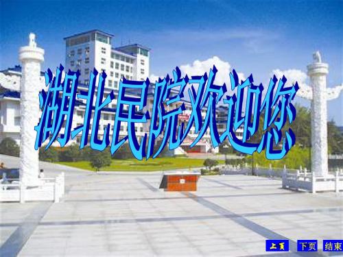 广西 壮族 简介 演示稿