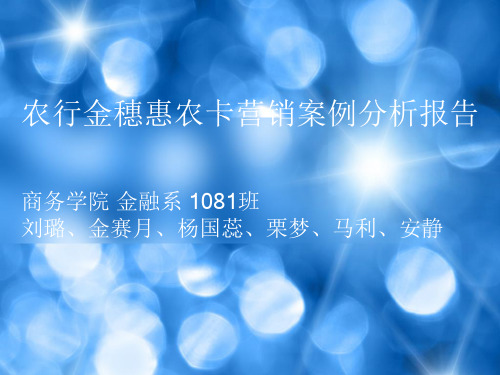 农行金穗惠农卡营销案例分析报告