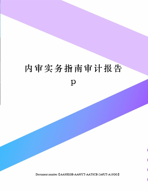 内审实务指南审计报告p