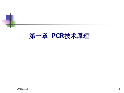 pcr聚合酶链式反应