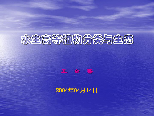 水生植物