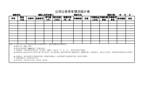 公司公务用车情况统计表