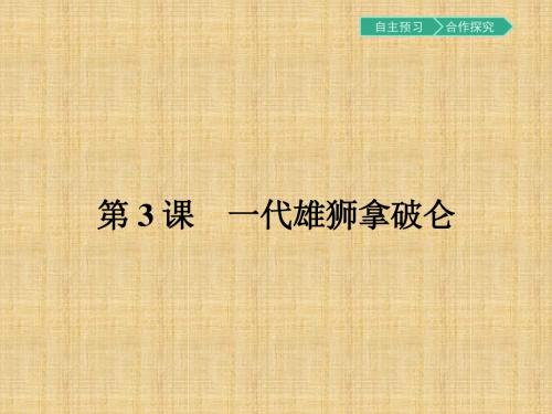 高中历史人教版选修四3.3一代雄狮拿破仑名师公开课省级获奖课件(20张)