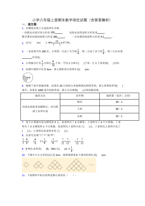 小学六年级上册期末数学培优试题(含答案解析)