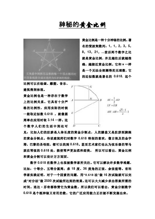 初中黄金分割(论文、小报