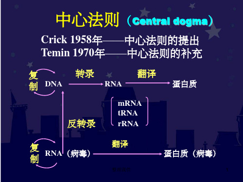 《中心法则》PPT课件