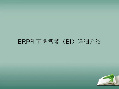 ERP和商务智能(BI)详细介绍