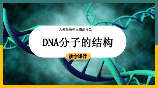 高中生物《DNA分子的结构》教学课件ppt