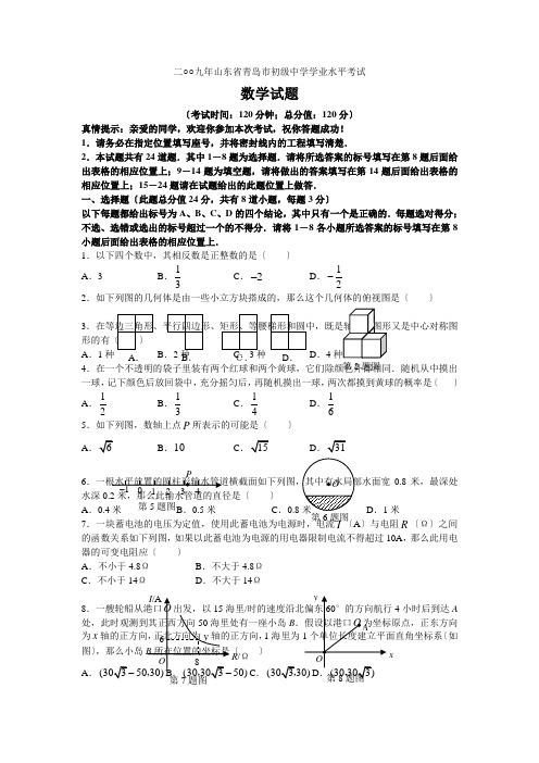 二○○九年山东省青岛市初级中学学业水平考试数学试题及答案