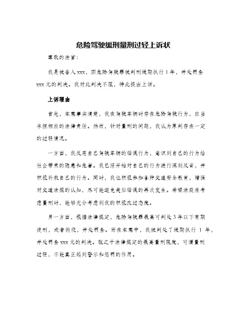 危险驾驶缓刑量刑过轻上诉状