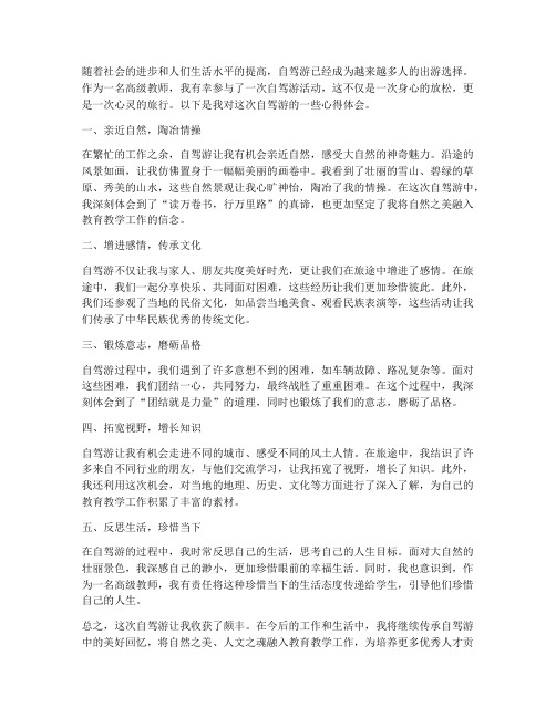 高级教师自驾游心得体会