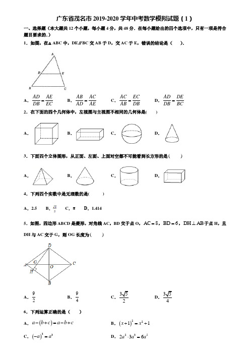 广东省茂名市2019-2020学年中考数学模拟试题(1)含解析