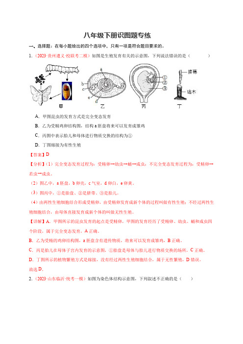 八年级下册识图题专练-备战2024年中考生物复习重点难点易错点提分法宝