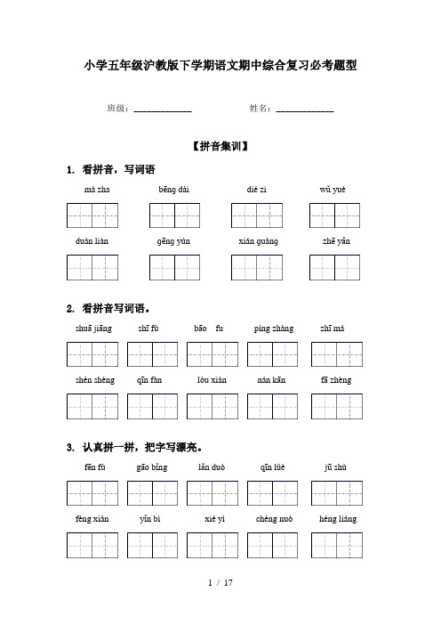 小学五年级沪教版下学期语文期中综合复习必考题型