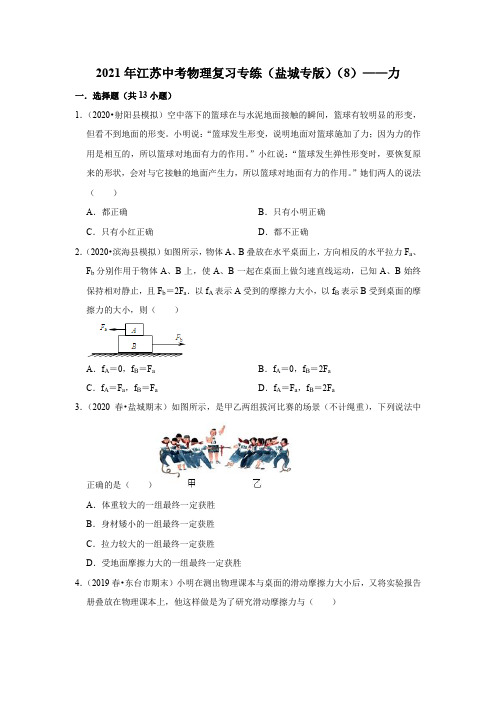 2021年江苏中考物理复习专练(盐城专版)(8)——力