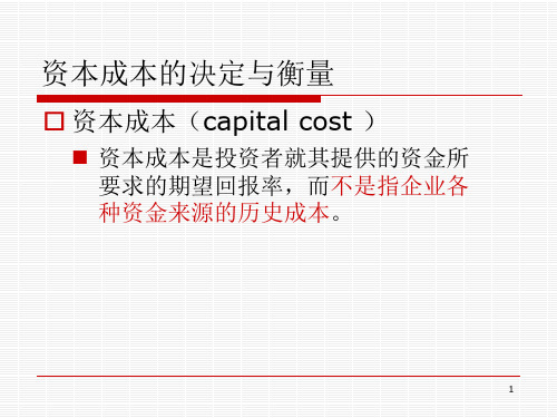 第11章跨国公司的资本结构