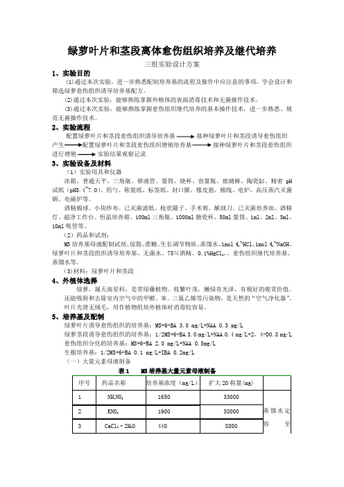 植物组培方案