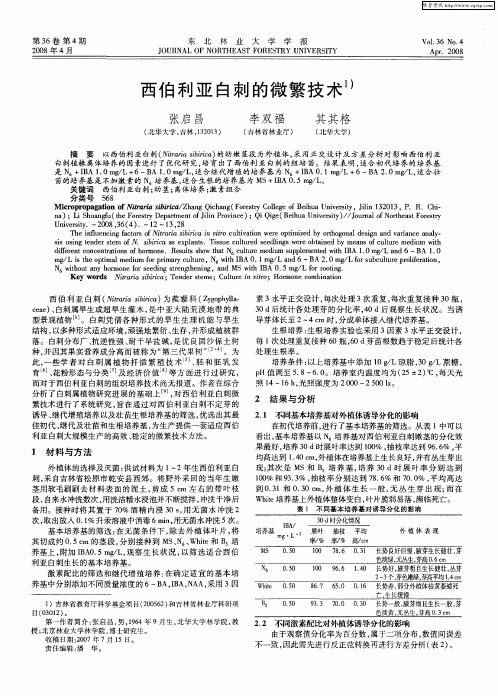 西伯利亚白刺的微繁技术