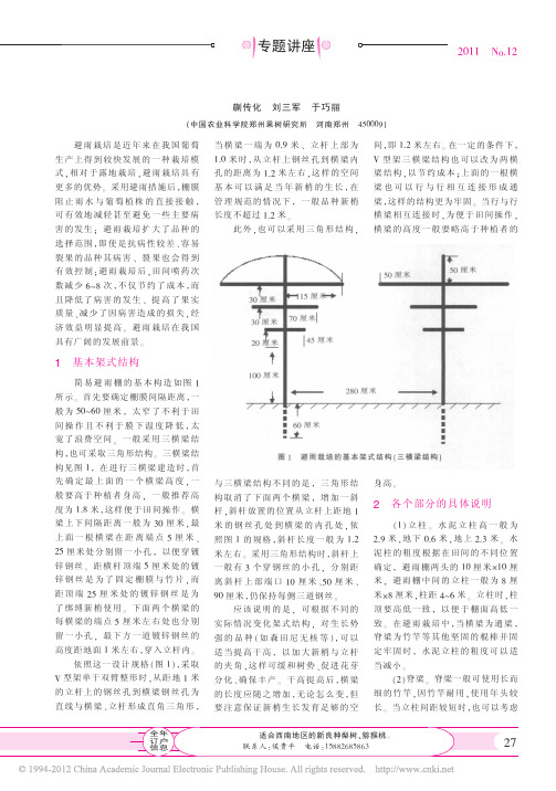 葡萄避雨栽培的架式结构