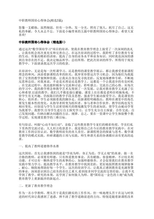 中职教师国培心得体会(精选5篇)