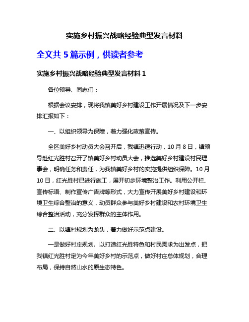 实施乡村振兴战略经验典型发言材料