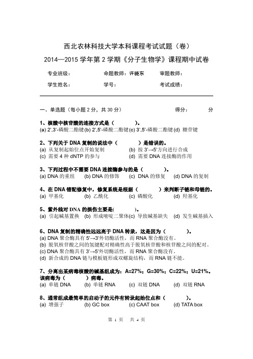 西农分子生物学2014-2015期中考题