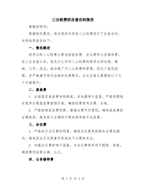 三公经费的自查自纠报告