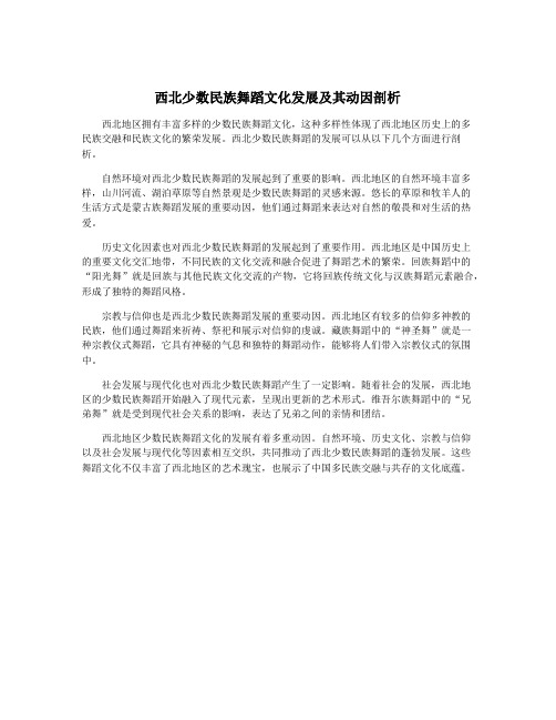 西北少数民族舞蹈文化发展及其动因剖析