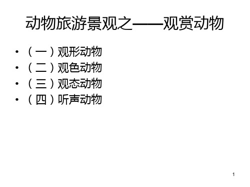 观赏动物PPT课件