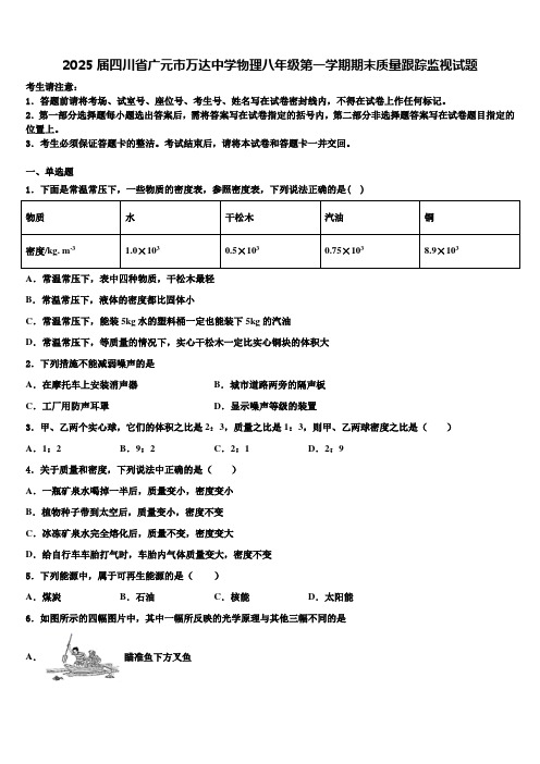 2025届四川省广元市万达中学物理八年级第一学期期末质量跟踪监视试题含解析