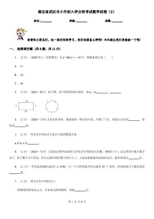 湖北省武汉市小升初入学分班考试数学试卷(2)