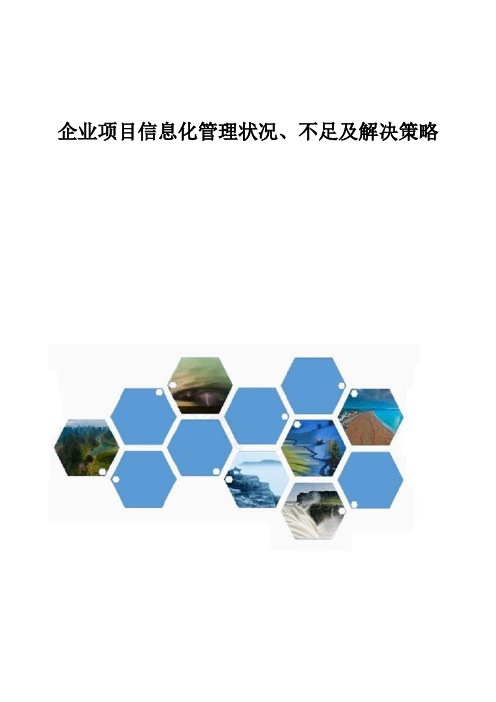 企业项目信息化管理状况、不足及解决策略